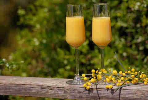 Two drinks on a fence