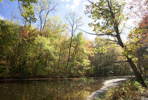 Rockefeller state park preserve