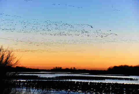 platte river