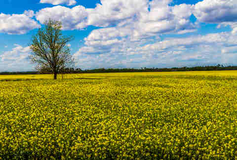 Oklahoma