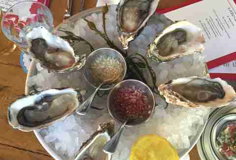 Oysters