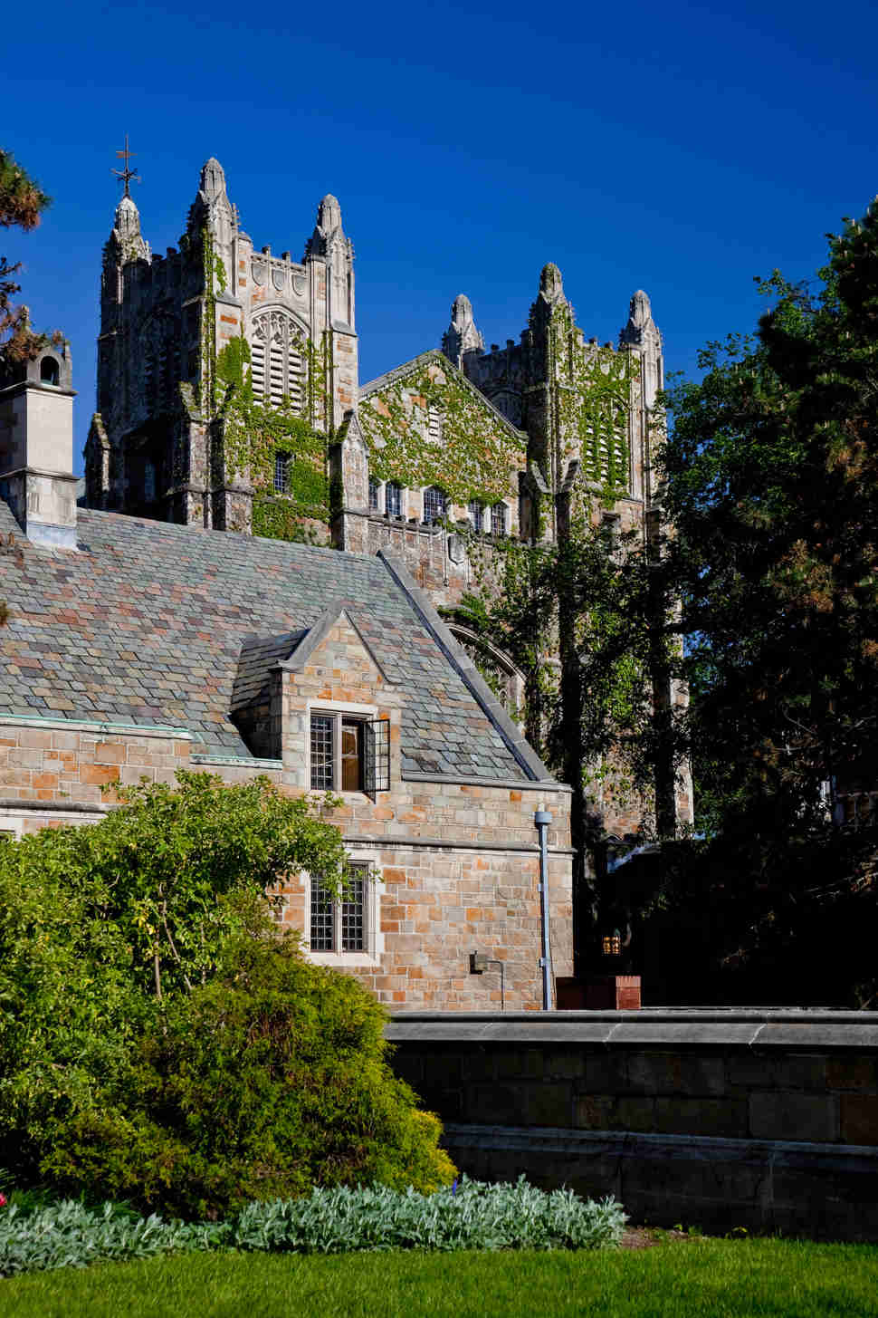 University of Michigan campus