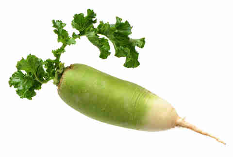 green radish