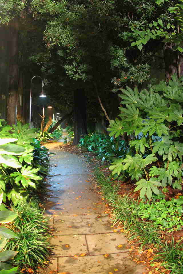 The Gateway Walk