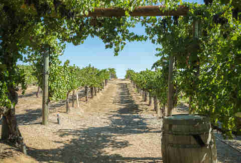 Temecula Valley Winery