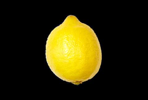 Moscow Mule Lemon Garnish