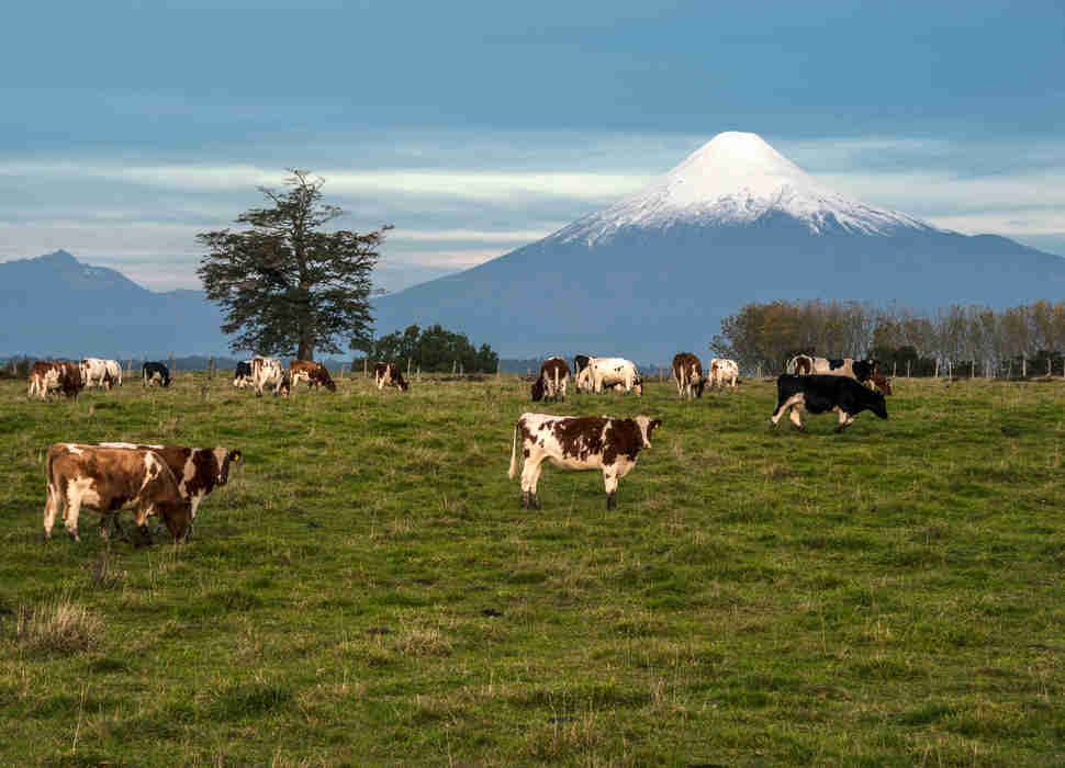 Osorno volcano