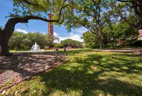 Trinity University