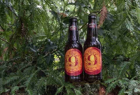 Magic Hat No. 9 Beer