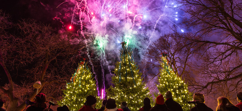 Holidazzle