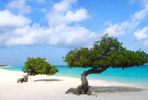 Eagle Beach Aruba
