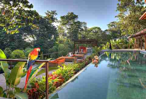 Nayara Springs
