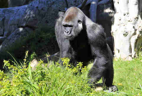 San Diego Zoo