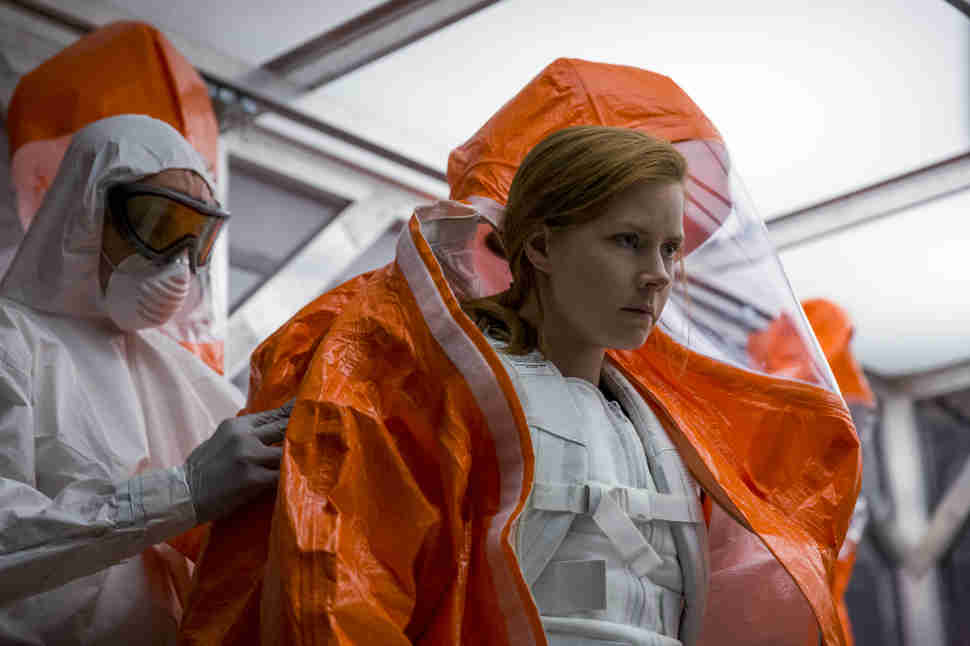 amy adams arrival