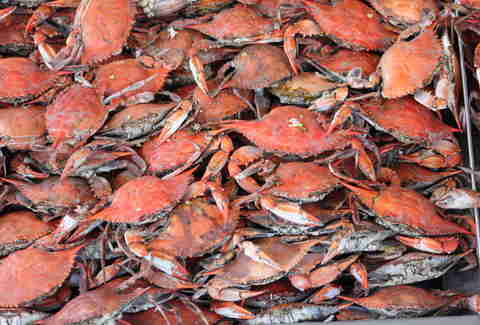 crabs from jessie taylor seafood