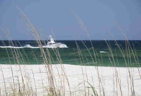 Gulf Shores