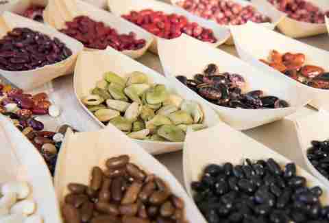 Slow Food USA