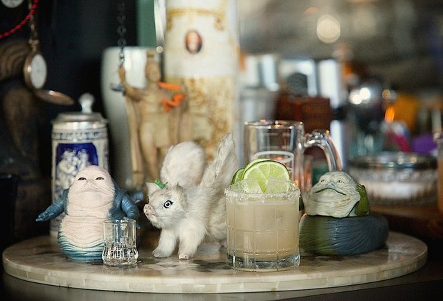 Oaxacan Daisy at Beaker & Flask