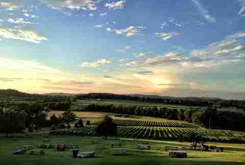 Arrington Vineyards