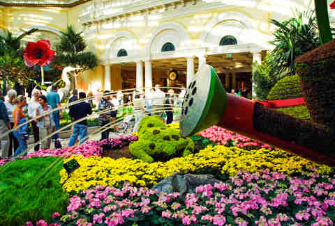 bellagio botanical gardens
