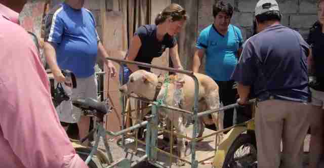 Escot gets onto the 'ambulance' bike