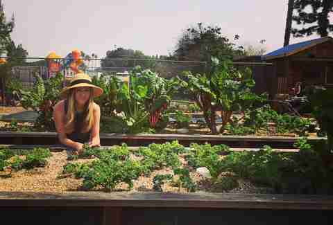 Renewable Farms