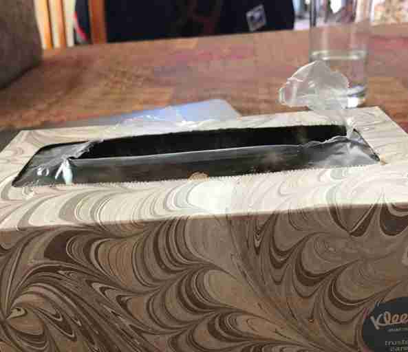 kitten hides in tissue box