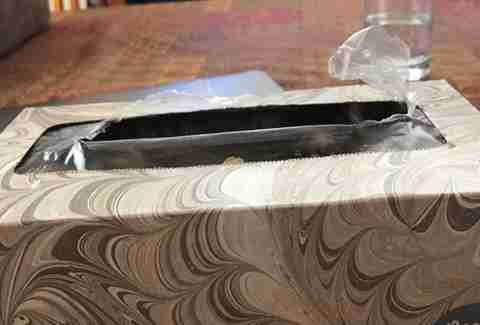 kitten hides in tissue box