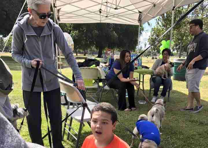 boy with autism has a pug party