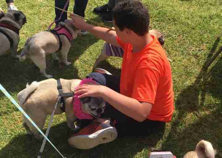 boy with autism has a pug party