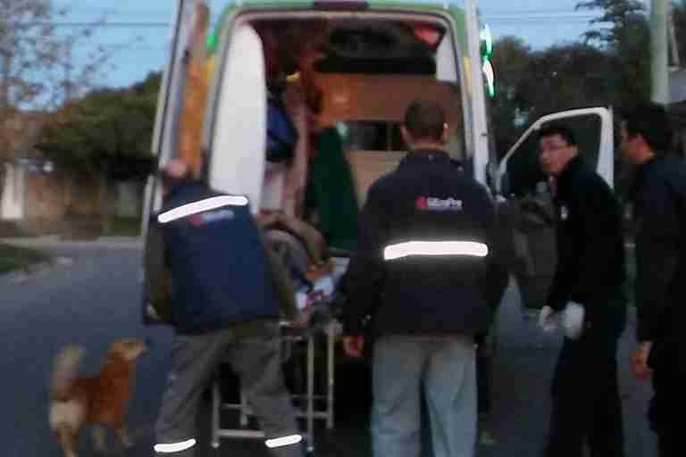 dog comforts owner injured in fall