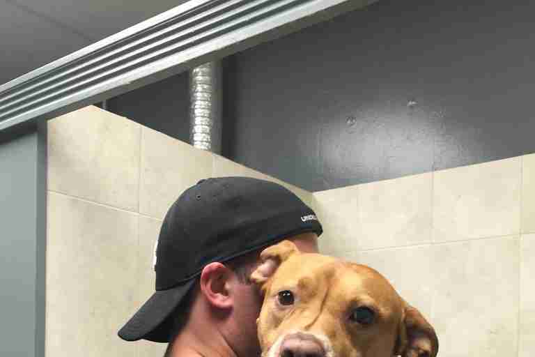 Dog Rescued Off The Streets Needs A Home The Dodo