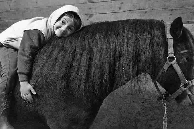 rescue pony horse show