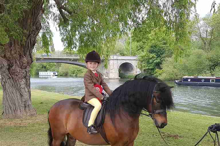 rescue pony horse show