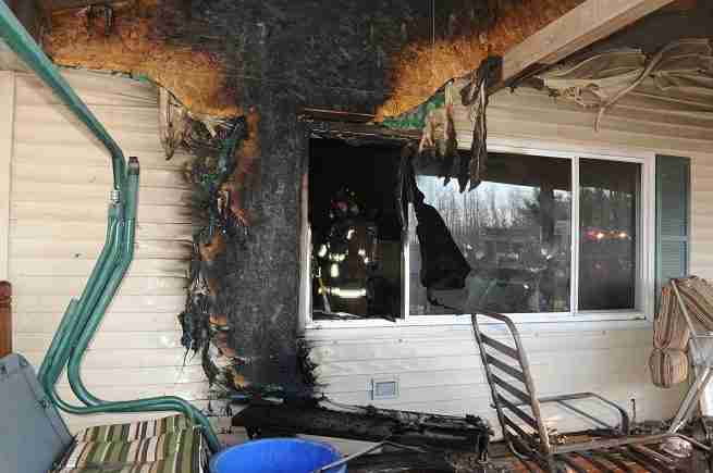 dog finds cat after fire