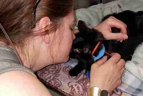 dog finds cat after fire