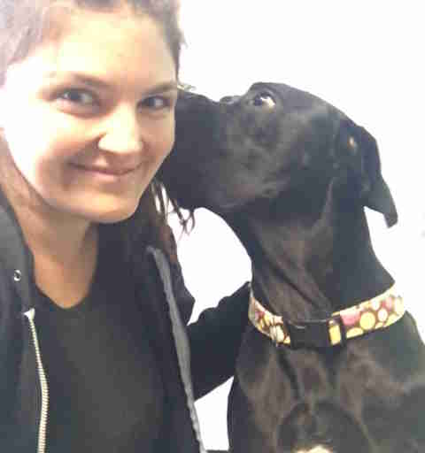 dog returned to shelter