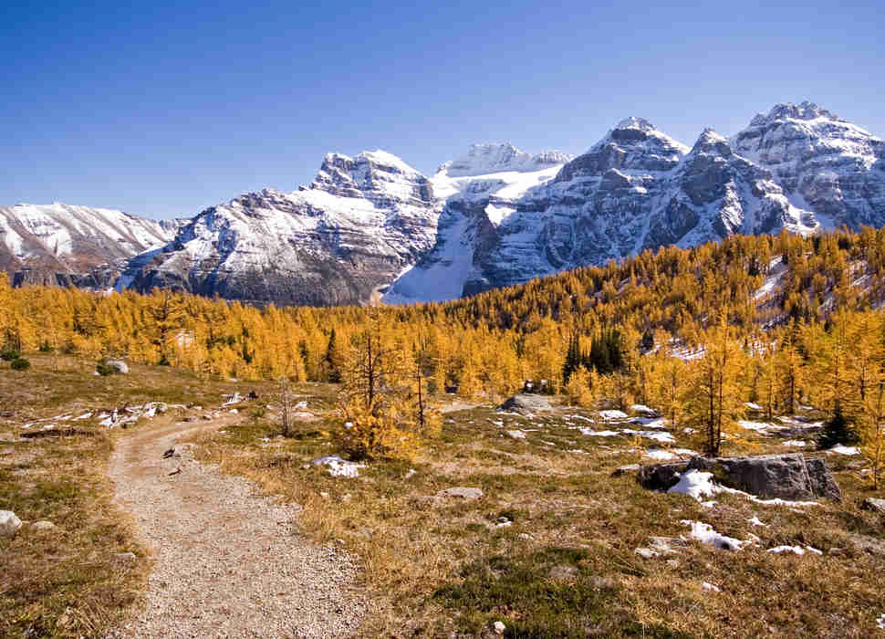 Larch Valley, Near Lake Louise, Banff National Park, Alberta, Canada