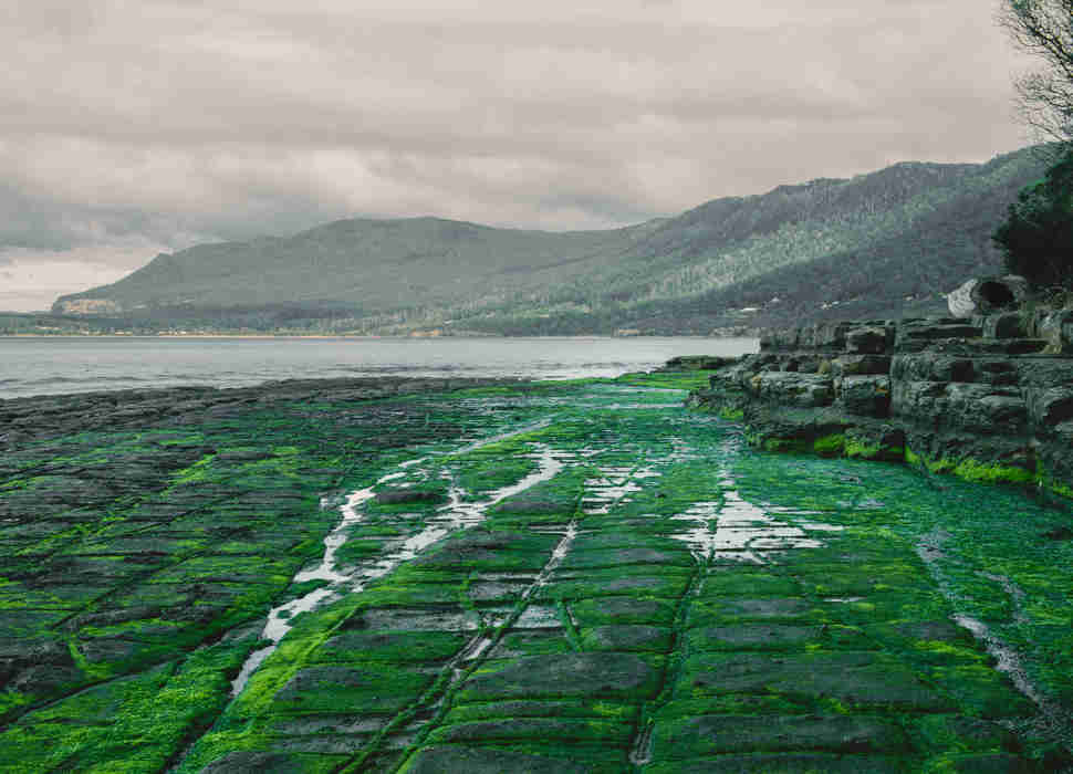 Tessellated Pavement, Pirates Bay