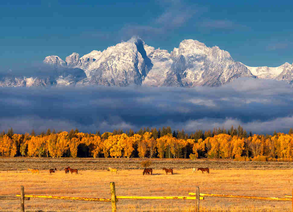 Grand Tetons