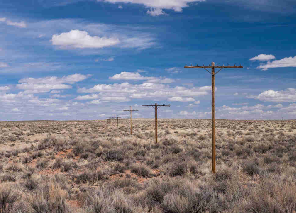 Petrified Forest National Park