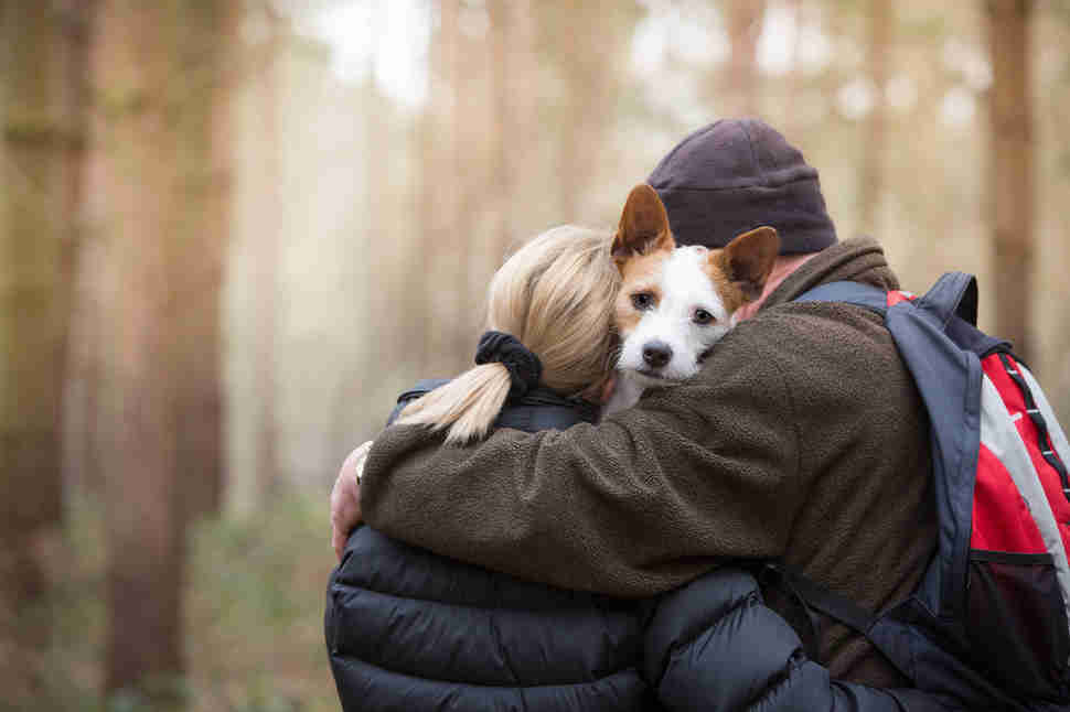 DPOTY Mans Best Friend 3rd © Annemarie King The Kennel Club