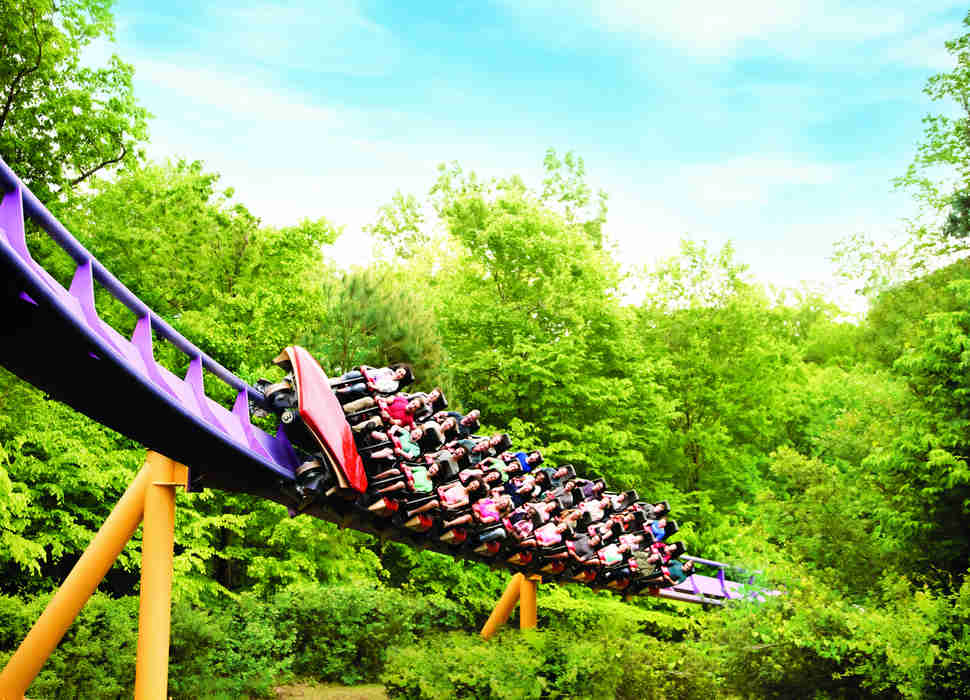 apollo's chariot rollercoaster