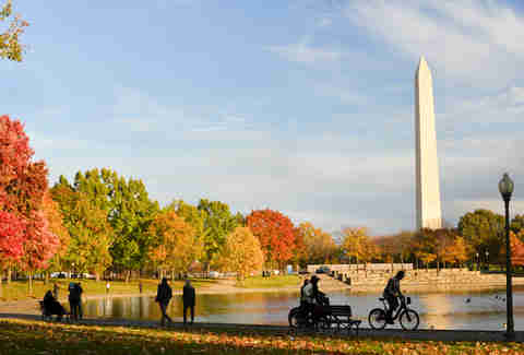 Washington DC