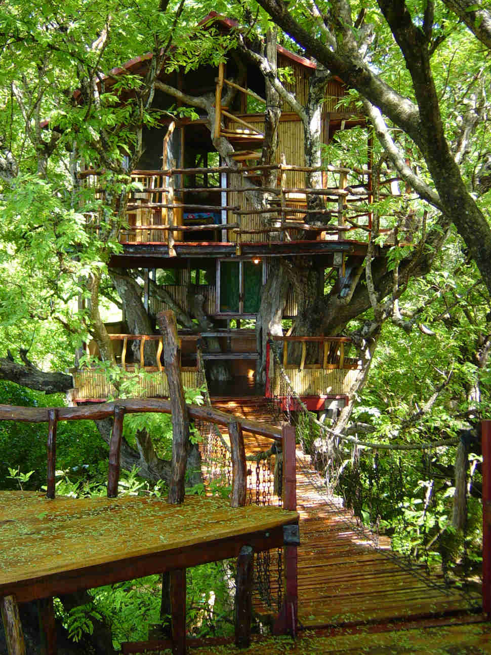Sanya Nahan Treehouse
