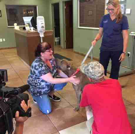 pit bulls save kids from snake