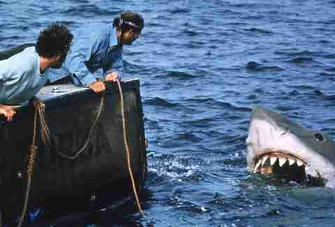 jaws