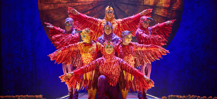 Cirque du Soleil’s LUZIA