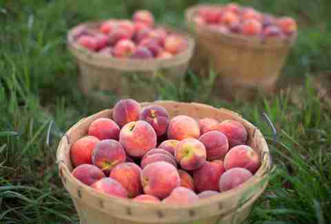 Fishkill Farms
