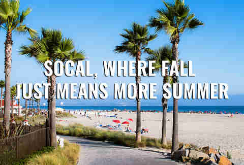San Diego beach with palm trees